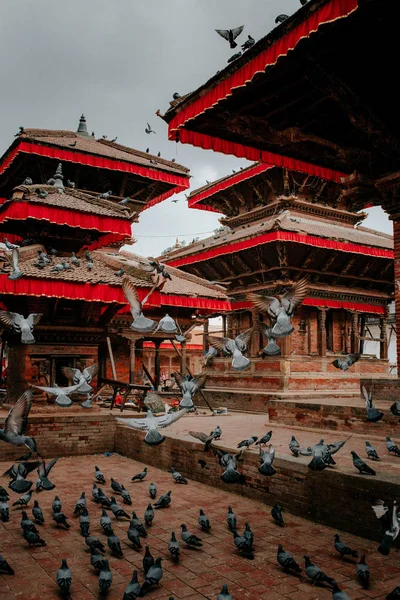 Традиционная Китайская Архитектура Большим Количеством Голубей — стоковое фото