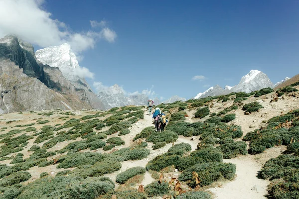 Vista Panorâmica Caminhantes Andando Cena Montanhosa Nepal — Fotografia de Stock