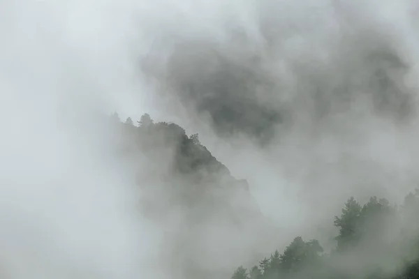 Silhouetten Van Bomen Heuvels Bedekt Met Mist — Stockfoto