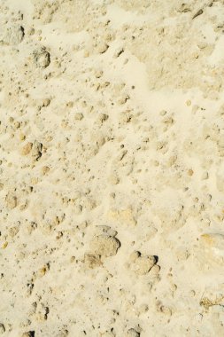 İnşaat kedi. Yakın çekim fotoğraf. Metniniz için yer.