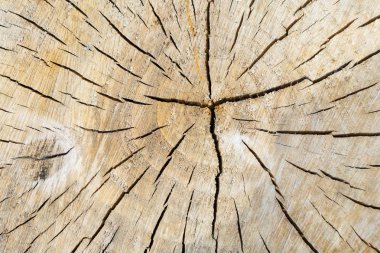 Çatlaklar ile odun kesmek. Metniniz için yer.