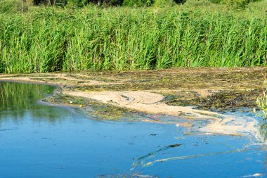 Su kirliliği. Çevre felaketi. Metniniz için yer