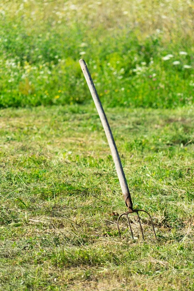 Poręczne Narzędzie Zbioru Trawy — Zdjęcie stockowe