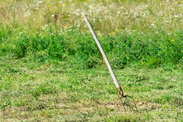 Poręczne Narzędzie Zbioru Trawy — Zdjęcie stockowe