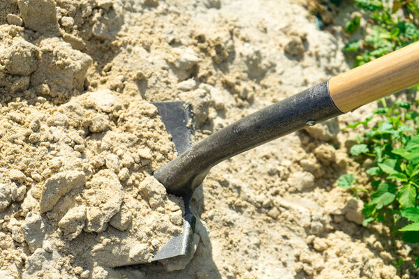 Digging sand with a shovel. place for your text.