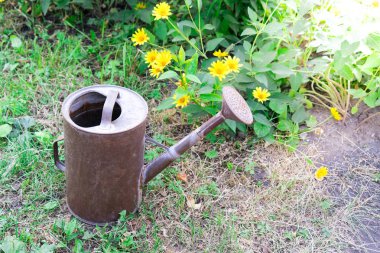 sulama olabilir. Çimen çiçekler yakınındaki eski sulama olabilir açıktır.