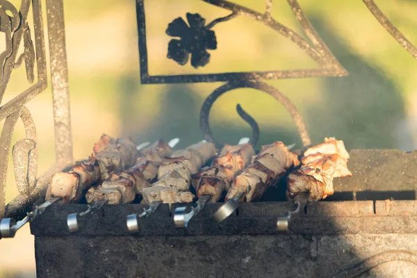 Fry Barbekü Sıcak Kömürlerin Üzerinde Fotoğraf Büyük — Stok fotoğraf