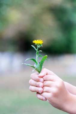 Çocuk bir çiçek ve bu vermek istiyor aldı. Çocuk elinde bir çiçek..
