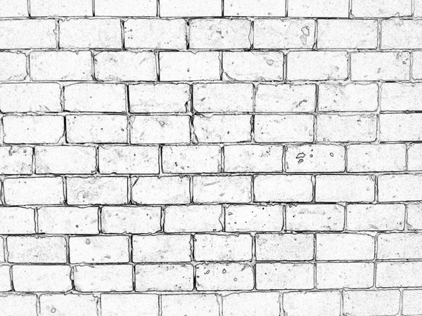 photo processed in the style of pencil drawing. Brick wall background.