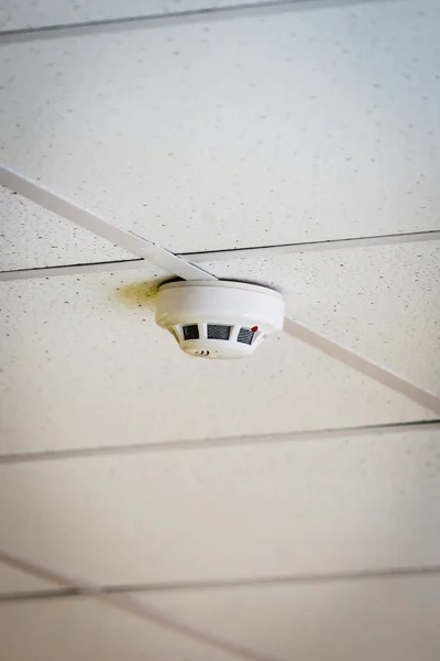 Fire alarm sensor on the ceiling. Place for your text.