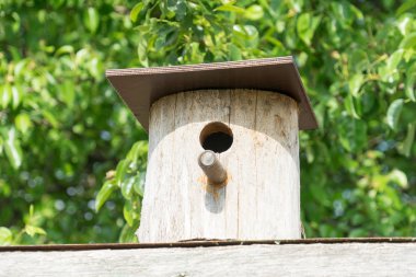 kuş evi. Kuşlar için ahşap ev. Yeşil yapraklarıbir arka plan üzerinde Birdhouse.