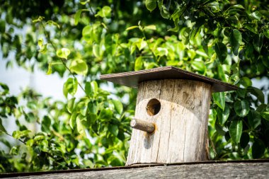 kuş evi. Kuşlar için ahşap ev. Yeşil yapraklarıbir arka plan üzerinde Birdhouse.