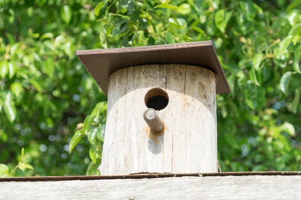 Birdhouse. Houten huis voor vogels. Birdhouse op een achtergrond van groen blad. — Stockfoto