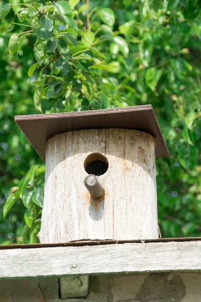 Birdhouse. Houten huis voor vogels. Birdhouse op een achtergrond van groen blad. — Stockfoto