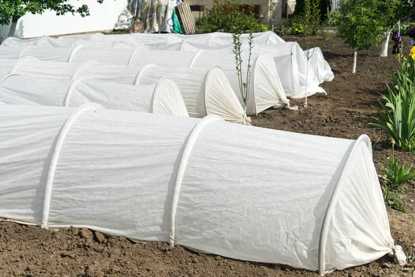 Greenhouse on the plot. growing organic products on their land. — Stock Photo, Image