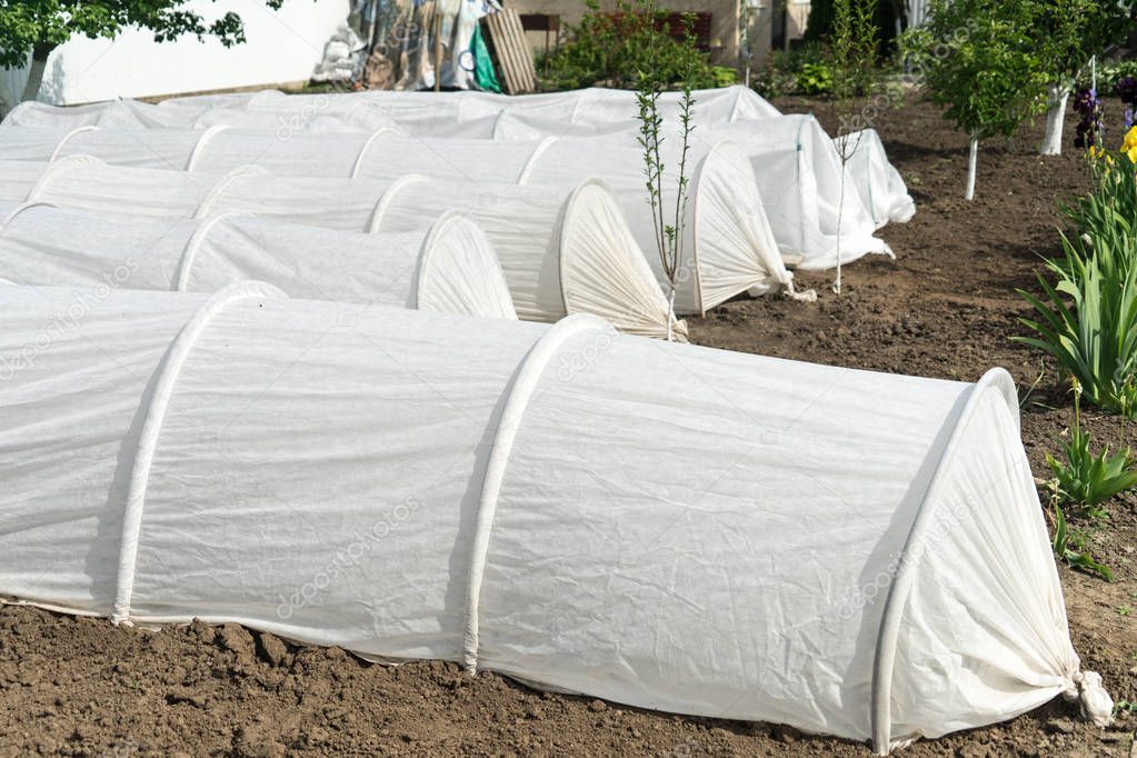 greenhouse on the plot. growing organic products on their land.