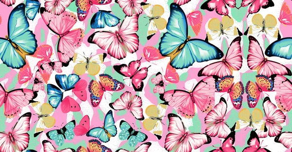 Butterfly Illustration Sammansättning Som Bildar Ett Mönster Med Squash Färg Royaltyfria Stockfoton