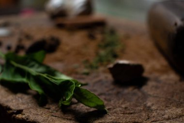 Hint garam masala tozu ve rengarenk baharatlar. Dengesiz bir geçmişi var. seçici odak