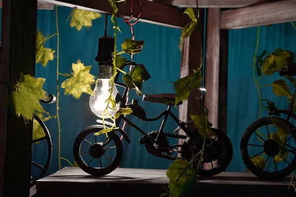 Handmade Bycycle Com Cestas Flores Foco Luz Bycyle — Fotografia de Stock