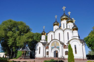 Pereslavl-Zaleskiy içinde St. Nicholas manastır St. Nicholas Katedrali. Rusya'nın altın yüzük