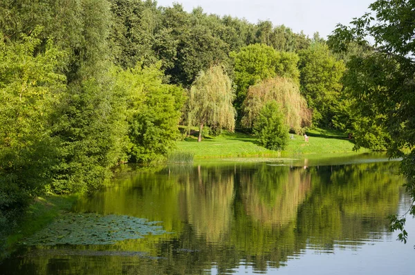 Summer evening on the banks of the river among the trees two girls and bicycles Stock Image