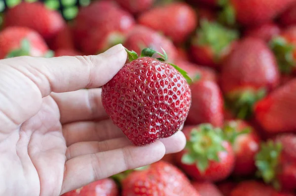 Čerstvé červené a šťavnaté jahody v ruce detail — Stock fotografie