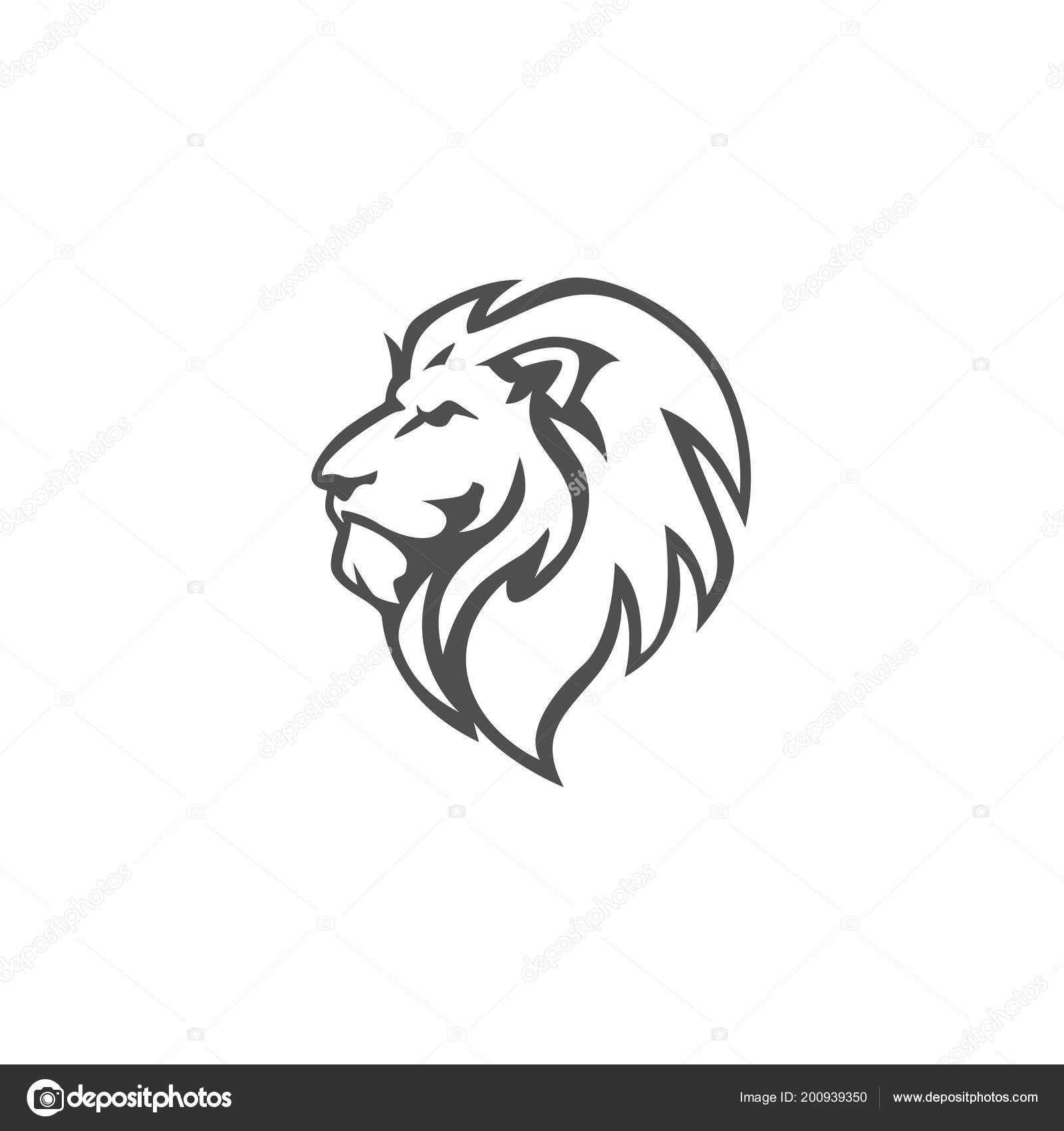 black and white lionhead black and white lionhead