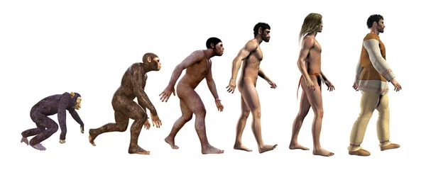 Evolução Humana Ilustração — Fotografia de Stock