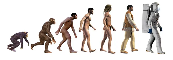 insan evrimi, 3d illüstrasyon