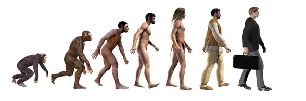 Эволюция Человека Иллюстрация — стоковое фото