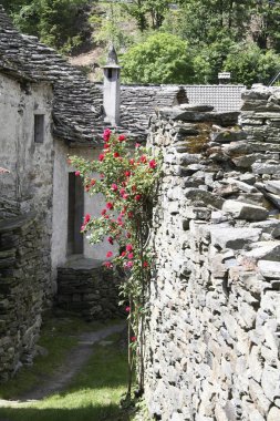 Alpe Devero Piemnte içinde yürüyüş