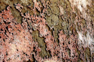 Hoş Pianosa yürümek