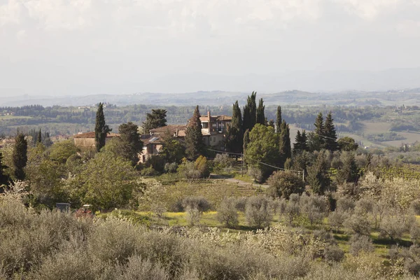 Gimignano — 스톡 사진