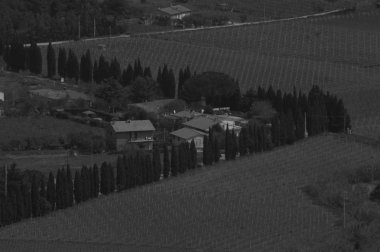 Hoş Elba adanın içine yürümek