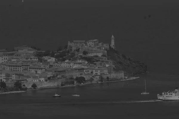 Vacker Och Retent Isolad Elba — Stockfoto