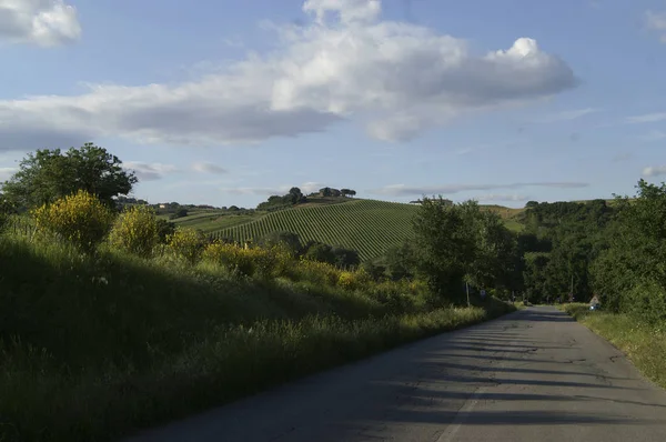 Пам Ятники Фреска Giano Умбрія — стокове фото