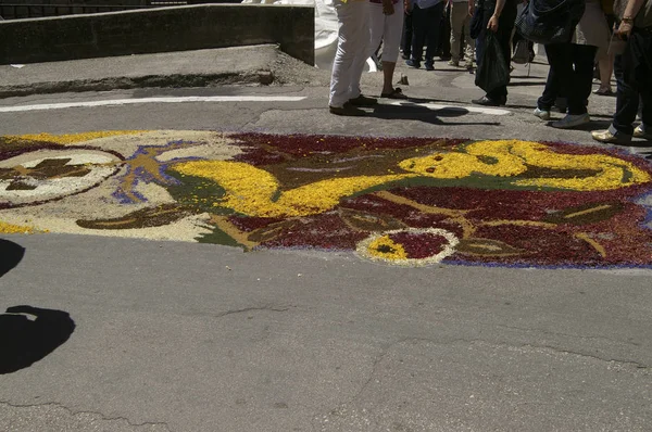 Περπάτημα Ανάμεσα Στους Τοίχους Και Πλησιάζει Του Spello Foligno Montefalco — Φωτογραφία Αρχείου