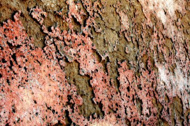 Hoş Pianosa yürümek