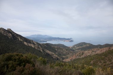 Hoş Elba adanın içine yürümek