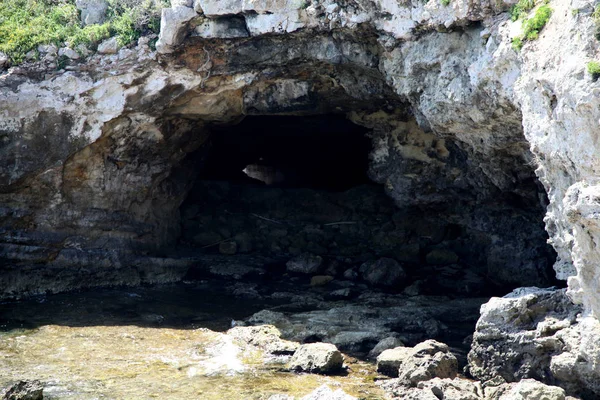 Igenom Den Trevliga Pianosa — Stockfoto