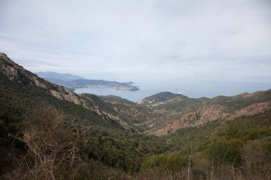 Elba Adası için yürüyüş