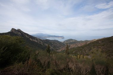 Elba Adası için yürüyüş