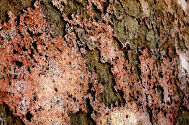 Hoş Pianosa yürümek