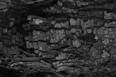 Elba Adası için yürüyüş