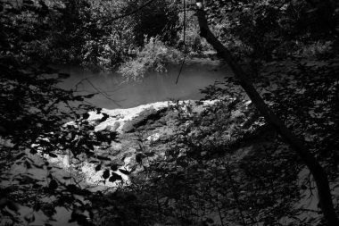 Siyah beyaz görüntüleri