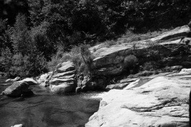 Siyah beyaz görüntüleri