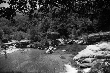 Siyah beyaz görüntüleri