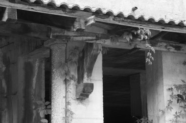 crodo siyah ve beyaz görüntüleri