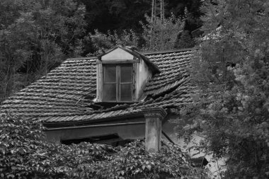 crodo siyah ve beyaz görüntüleri