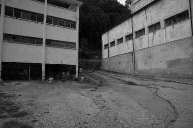 Dağ ülke ve doğa doğa Crodo